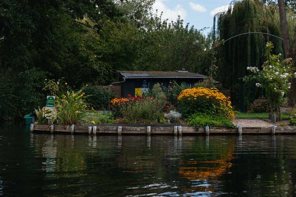Créer un intérieur sain et durable : traitement de l'humidité dans la manche