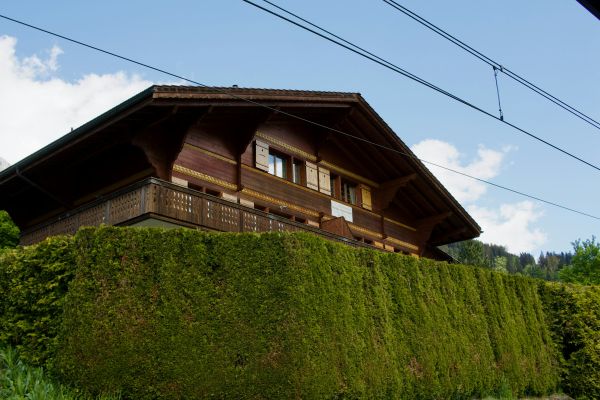 Les avantages d'un chalet en bois : investissez dans demain
